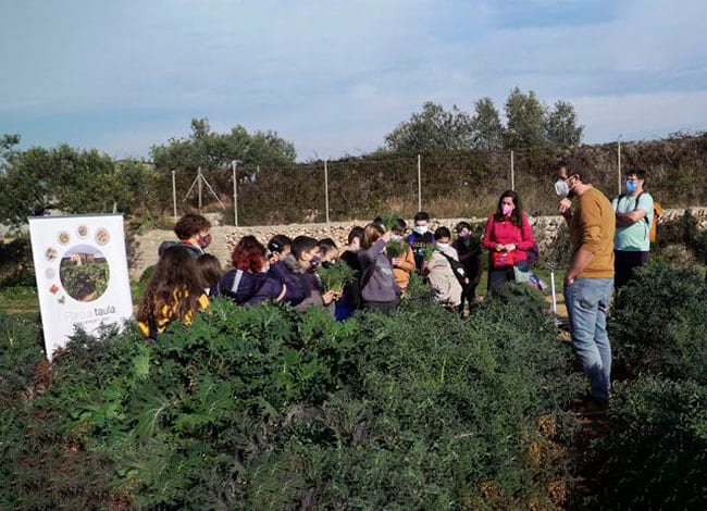 Els espigalls van a l'escola. Autor: Ajuntament de Sant Pere de Ribes