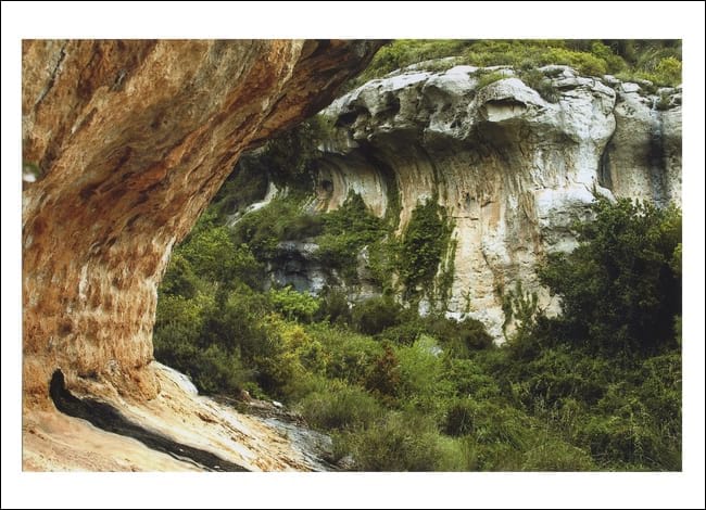 1r premi de la modalitat 'Els parcs' del XXVII Concurs de Fotografia. Autora: Lydia García