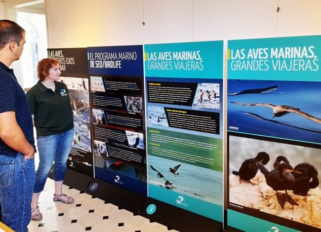 Exposició sobre les aus marines al CEM. Autor: Diputació de Barcelona