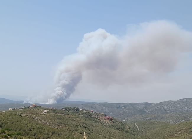 Plana Novella, a Olivella, el dissabte 18 de juny. Autor: XPN