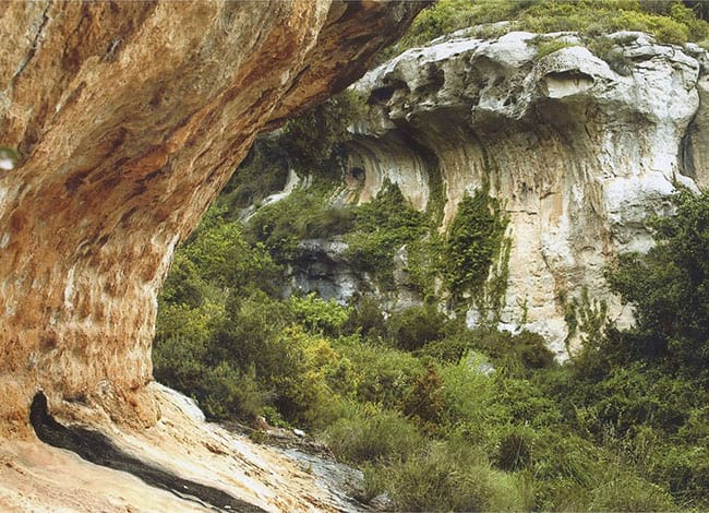 1r Premi de l'edició 2021 del Concurs Fotogràfic. Autora: Lydia García