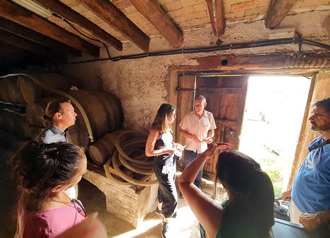 La visita dels tècnics suecs al Celler Vega de Ribes, al Parc del Garraf. Autor: XPN