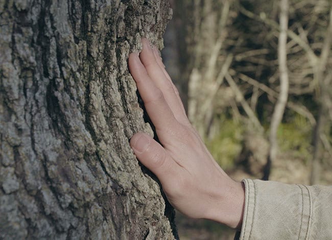 Els banys de bosc, com el del Garraf, a debat. Autor: Ajuntament de Sant Pere de Ribes