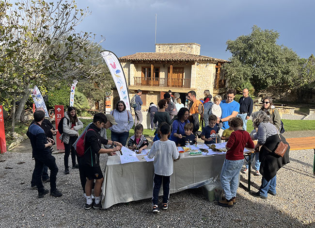 Una de les imatges que va deixar la Matinal al Parc d'Olèrdola l'any 2024. Autoria: Fusic