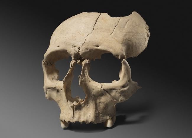 Crani humà d’època ibèrica localitzat a Olèrdola. Autor: Museu d'Arqueologia de Catalunya. Seu d'Olèrdola