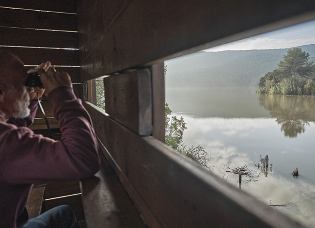 Visitant a un dels miradors d'aus del Parc del Foix. Autoria: Oriol Clavera