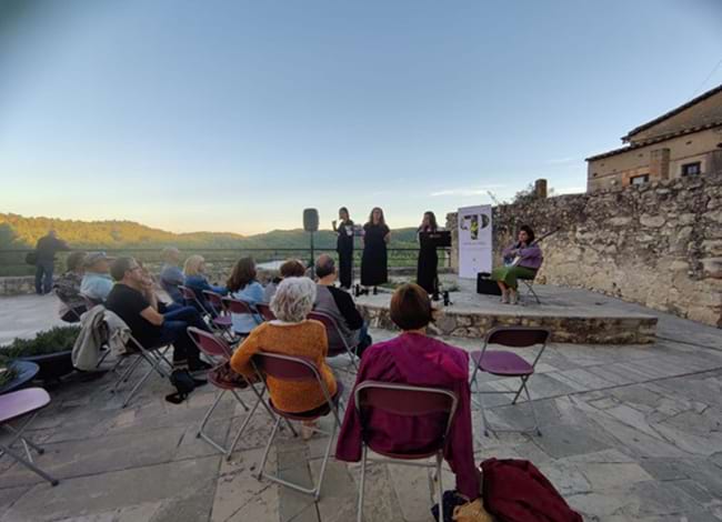 Assistents al recital de poesia en commemoració al Vicent Andrés Estellés. Autor: Tramoia Cultura