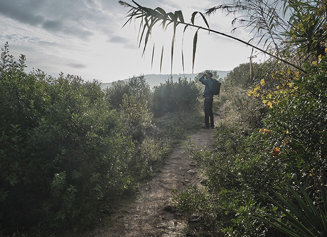 Vegetació del voltant del pantà. Autor: Oriol Clavera