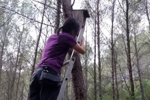 Alliberament del ratpenat de vores clares. Autor: X. Bayer