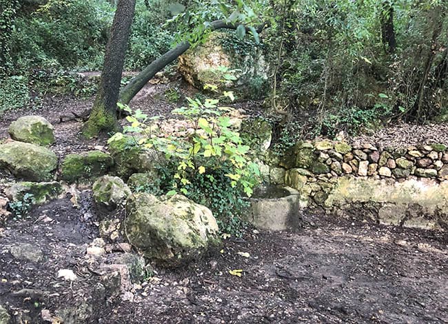 La font d'Horta, al Parc del Foix, un cop arranjada.<br />Autor: XPN