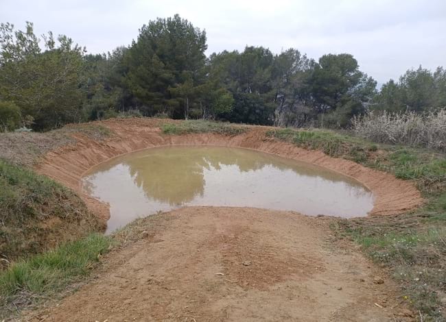 La bassa de Mas Bellestar, al Parc del Foix, un cop restaurada. Autor: XPN