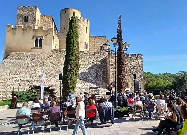 El concert es va fer davant del castell. Autor: XPN