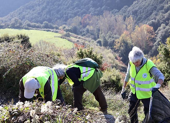 Actuació del Cercle de Voluntaris a Collformic. Autoria: Cercle de Voluntaris dels Parcs Naturals