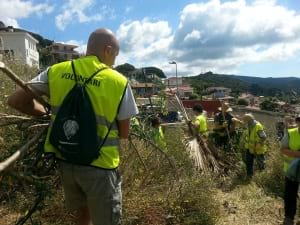 Voluntaris eliminant plantes. Autor: Cercle Voluntaris