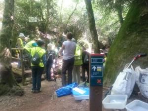 Activitat al Montseny. Autor: Cercle Voluntaris