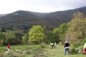 Voluntaris a Santa Fe. Autor: Cercle Voluntaris