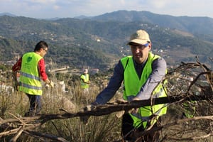 Voluntaris retirant brancatge. Autor: Cercle Voluntaris