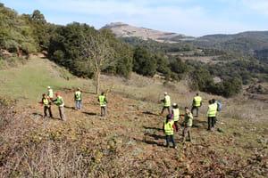Voluntaris a Sant Llorenç. Autor: Cercle Voluntaris