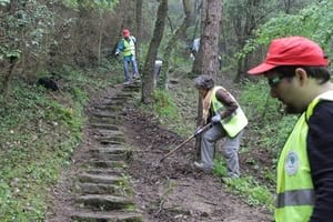 Arranjament dels esglaons. Autor: Cercle Voluntaris