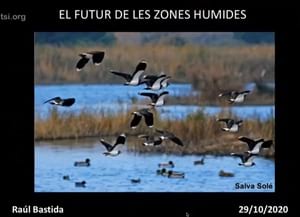 Xerrada virtual sobre les zones humides de Catalunya.<br />Autor: Cercle Voluntaris