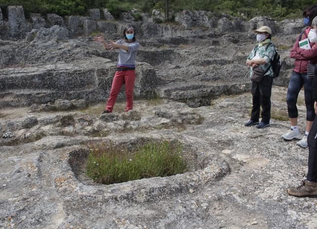 Moment de la jornada formativa dels voluntaris al Parc d'Olèrdola. Autor: Cercle de Voluntaris