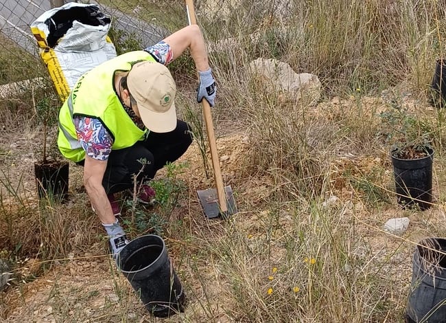 Voluntària durant la plantada d'arbustos. Autor: Cercle de Voluntaris