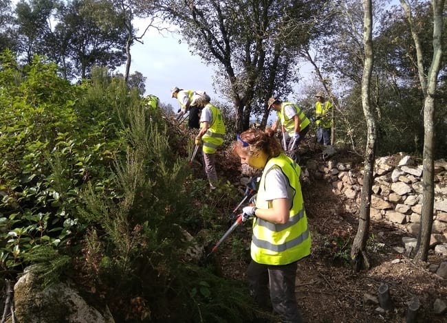 Grup de voluntaris netejant de vegetació l'indret. Autor: Cercle de Voluntaris