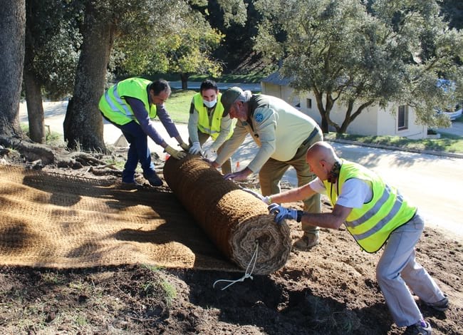 Voluntaris i guardes del Parc cobrint l'espai del talús amb una xarxa de fibra de coco. Autor: Cercle de Voluntaris