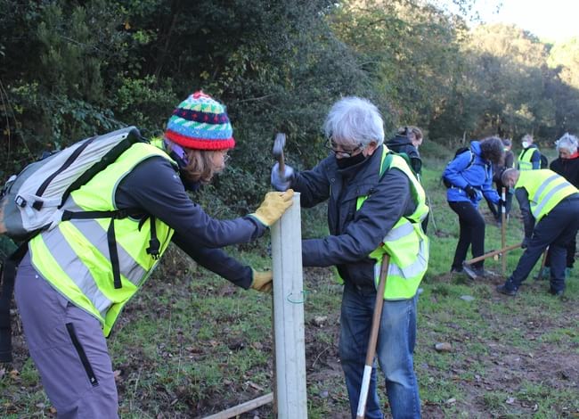 Grup de voluntaris plantant oms a l'entorn de la Masia de Can Bosc. Autor: Cercle de Voluntaris