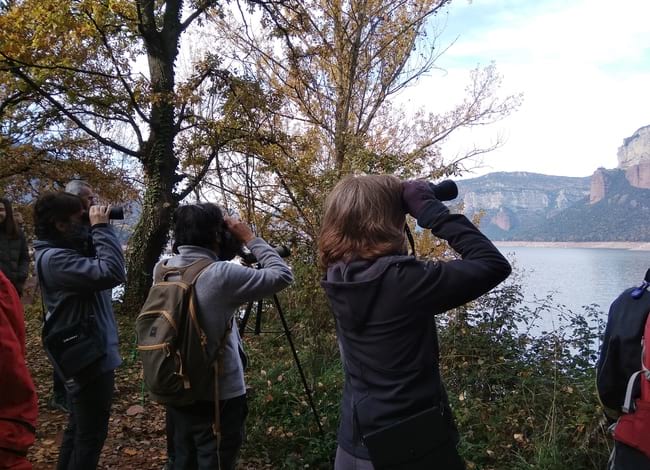 Grup de voluntaris observant ocells a l'entorn del pantà de Sau. Autor: Cercle de Voluntaris