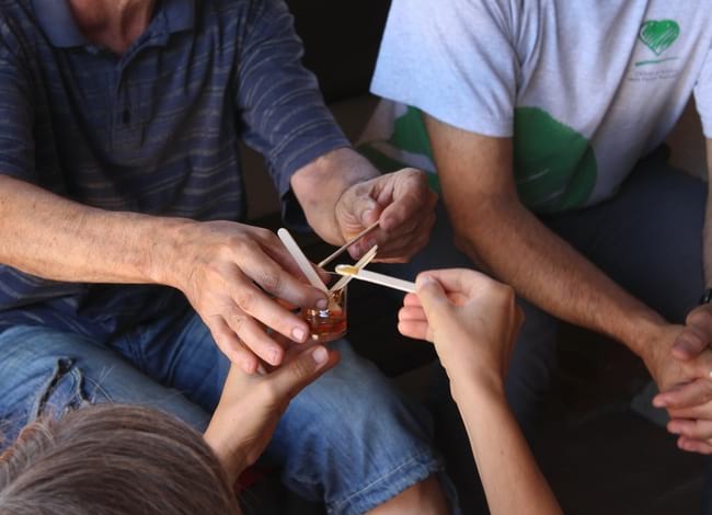 Tast de diferents mels. Autor: Cercle de Voluntaris dels Parcs Naturals