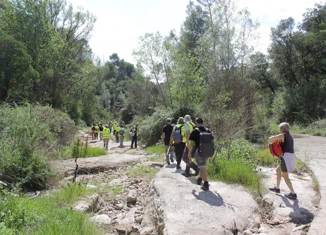 Grup de voluntaris durant l'actuació al Parc Natural de Sant Llorenç del Munt i l'Obac. Autor: Cercle de Voluntaris