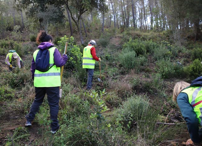 Grup de voluntaris durant la plantació d'alzines sureres i pins blancs. Autor: Cercle de Voluntaris
