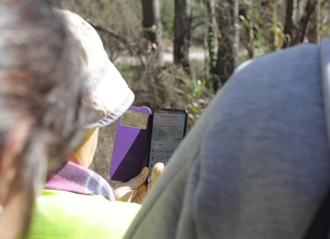 Voluntaris introduint informació a l'app iNaturalist. Autor: Cercle de Voluntaris