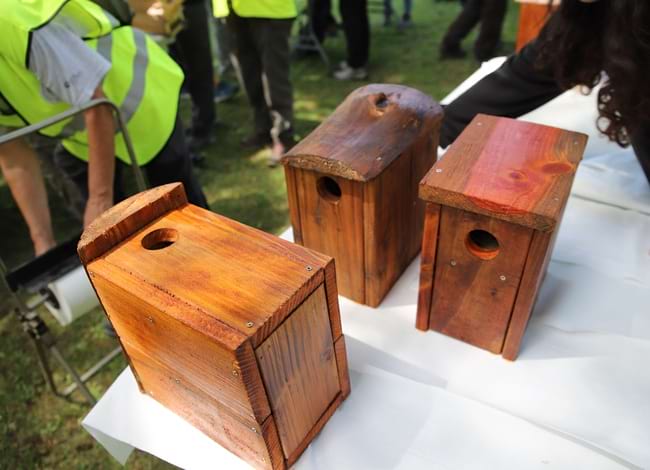 Caixes niu. Autor: Cercle de Voluntaris