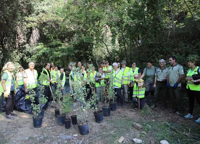El grup de voluntaris va plantar dues espècies de planes autòctones. Autor: Cercle de Voluntaris