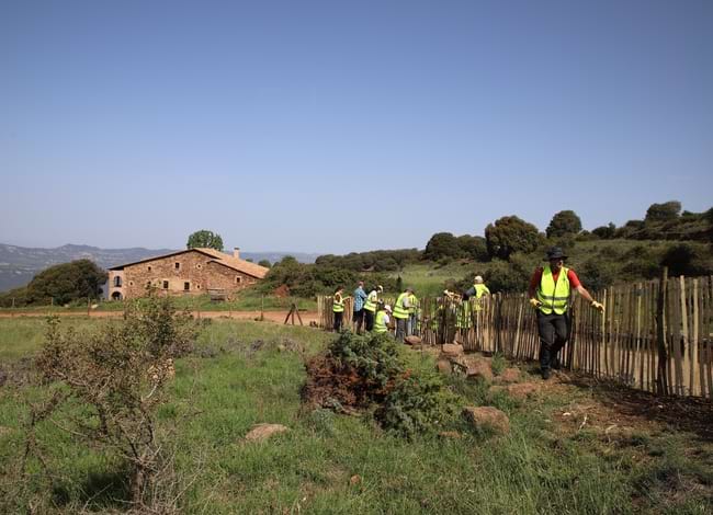 Els voluntaris durant l'actuació, amb Ca l'Agustí al fons. Autor: Cercle de Voluntaris