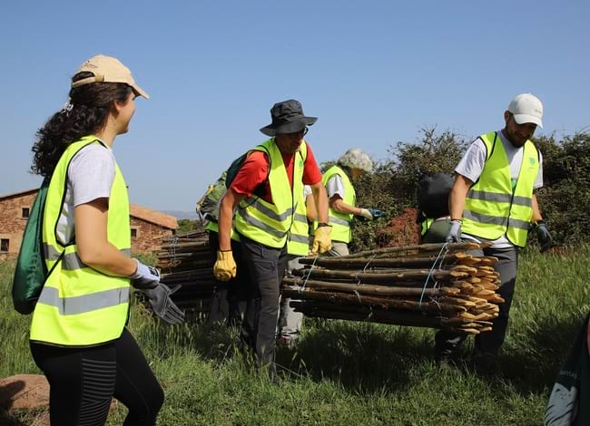 Un grup de voluntaris amb estaques de fusta de castanyer per a la tanca. Autor: Cercle de Voluntaris