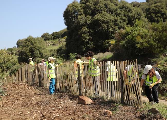 Voluntaris treballant en la tanca. Autor: Cercle de Voluntaris