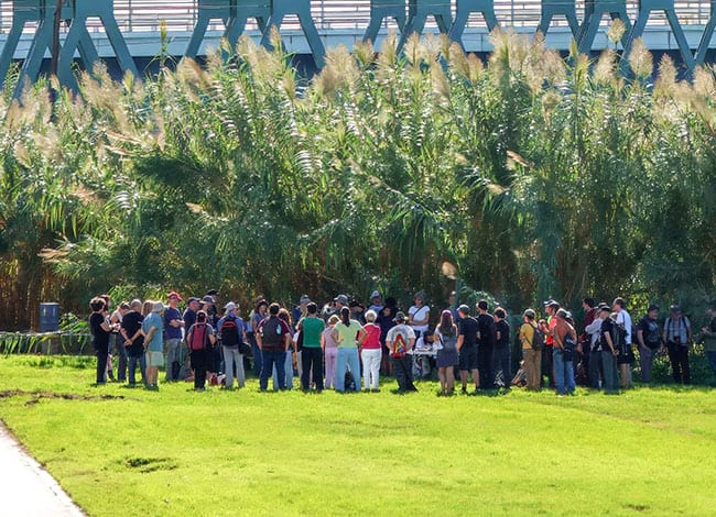 El nombrós grup de participants. Autor: José Molis