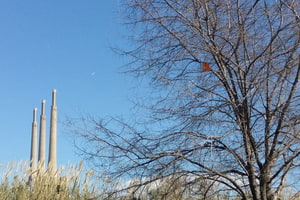 Caixa niu ja instal·lada. Autor: Parc Fluvial