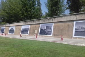 Detall de la mostra. Autor: Parc Fluvial del Besòs