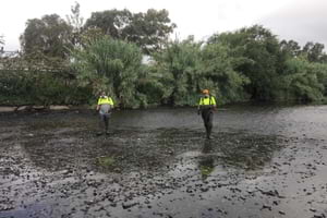 Tractament larvari. Autor: Parc Fluvial del Besòs