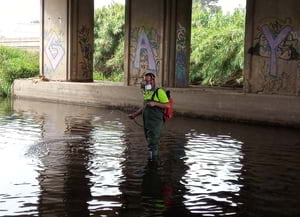 Moment del tractament. Autor: Parc Fluvial
