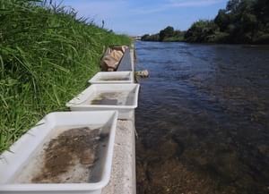 Recipients de mostreig. Autor: Xavier Larruy