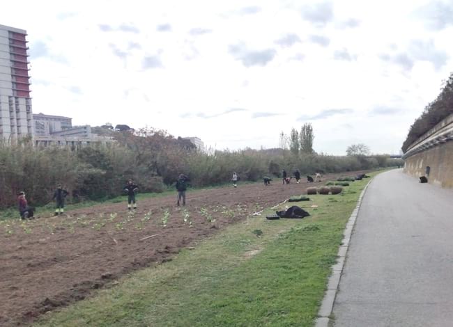 Alumnes durant l'acció d'enjardinament. Autor: Parc Fluvial del Besòs