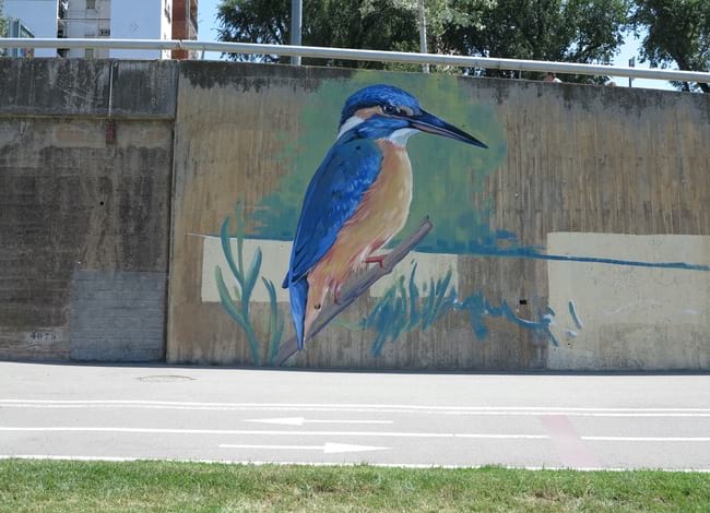Blauet pintat al mur del marge esquerre del Parc Fluvial, a l'alçada de Pallaresa. Autor: Swen Schmitz
