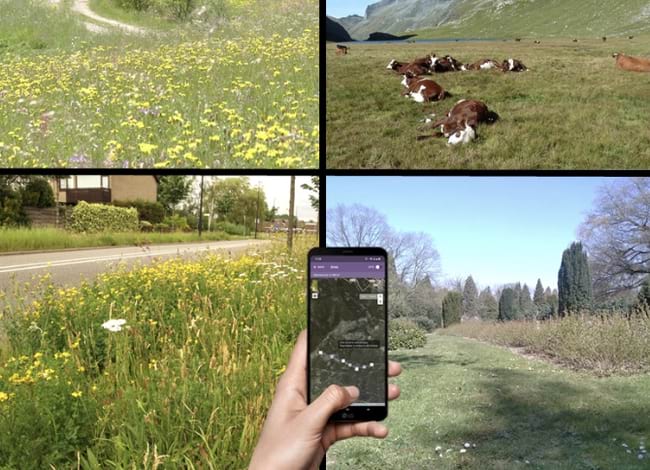 El comptatge es pot fer en hàbitats diversos. Autor: MCNG