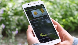 Natusfera, un dels projectes de ciència ciutadana. Autor: CREAF