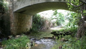 Riera de Breda, afluent de la Tordera. Autor: BeWater